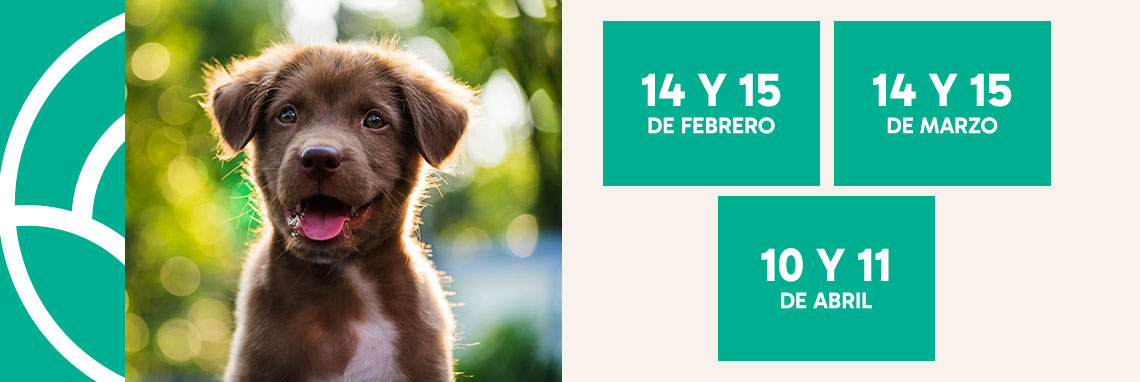 Jornadas de adopción