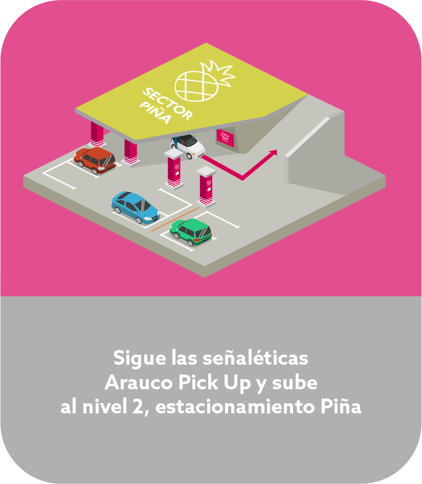 Imagen bolsa